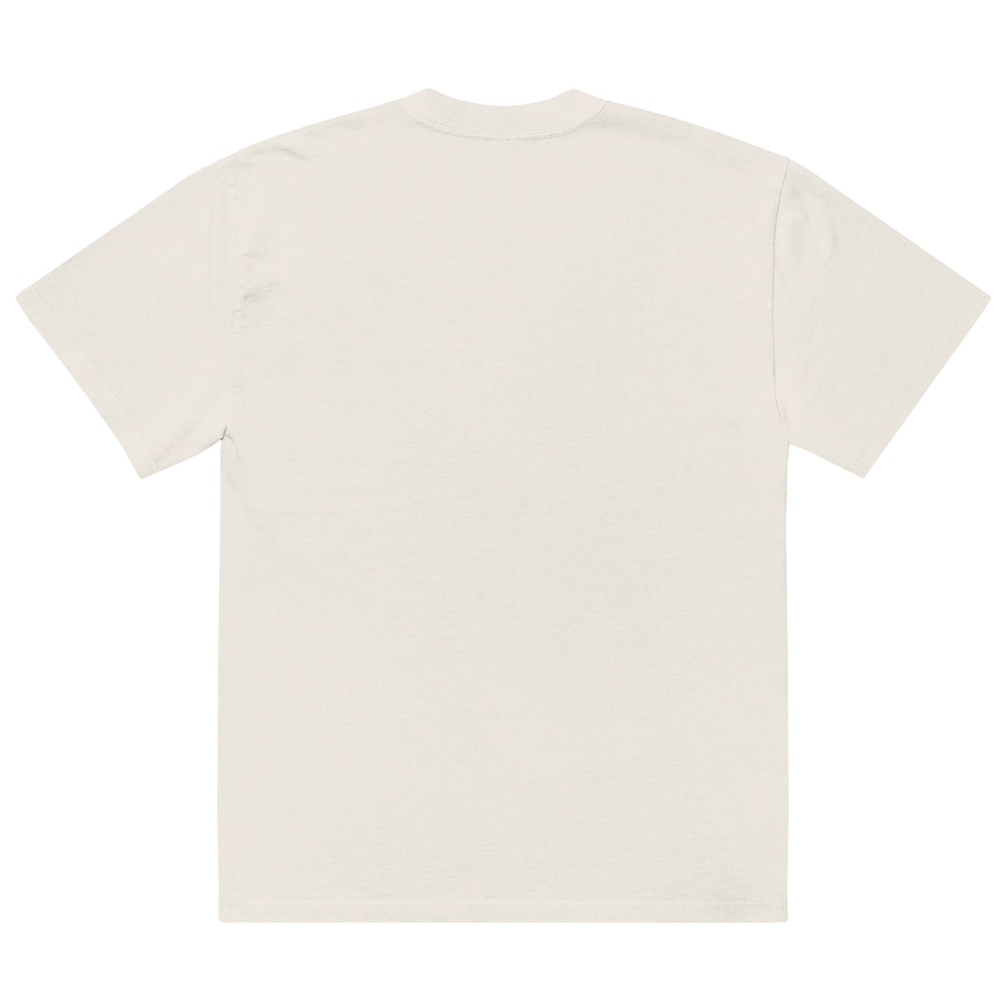 S.A.L.T.Y. oversized faded bone t-shirt