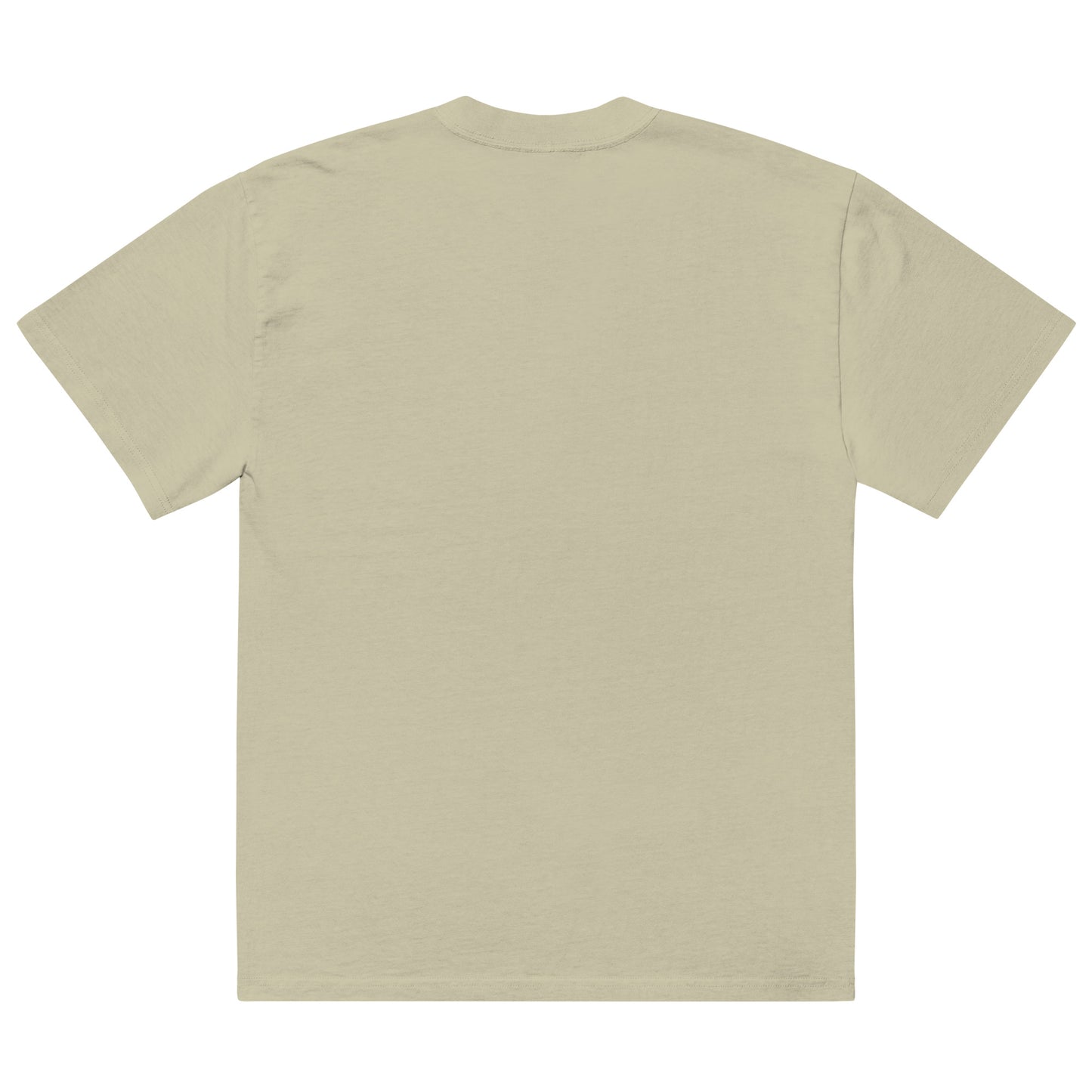 S.A.L.T.Y. oversized faded eucalyptus t-shirt