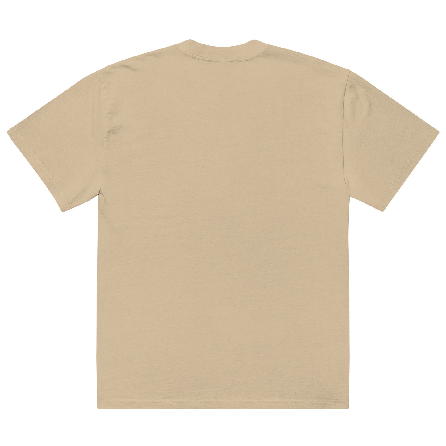 S.A.L.T.Y. oversized faded khaki t-shirt